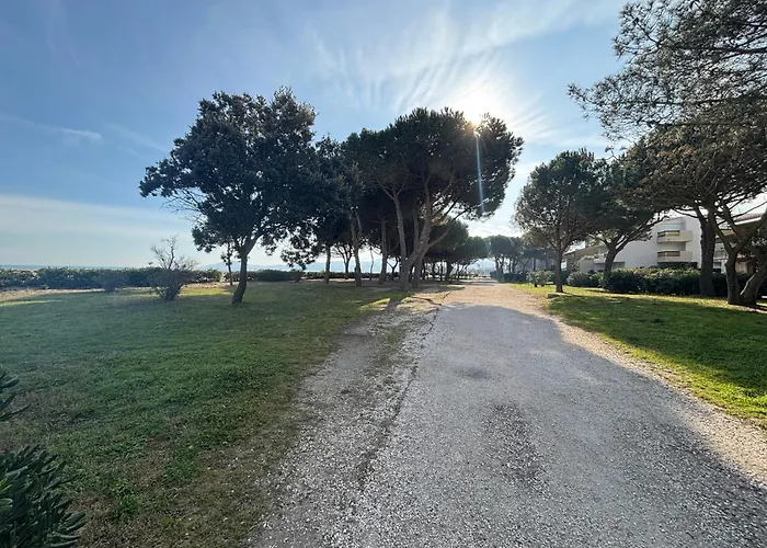 T3 Argeles-sur-mer : Terrasse Et Parking A Proximite De La - Fr-1-309-548 公寓 *